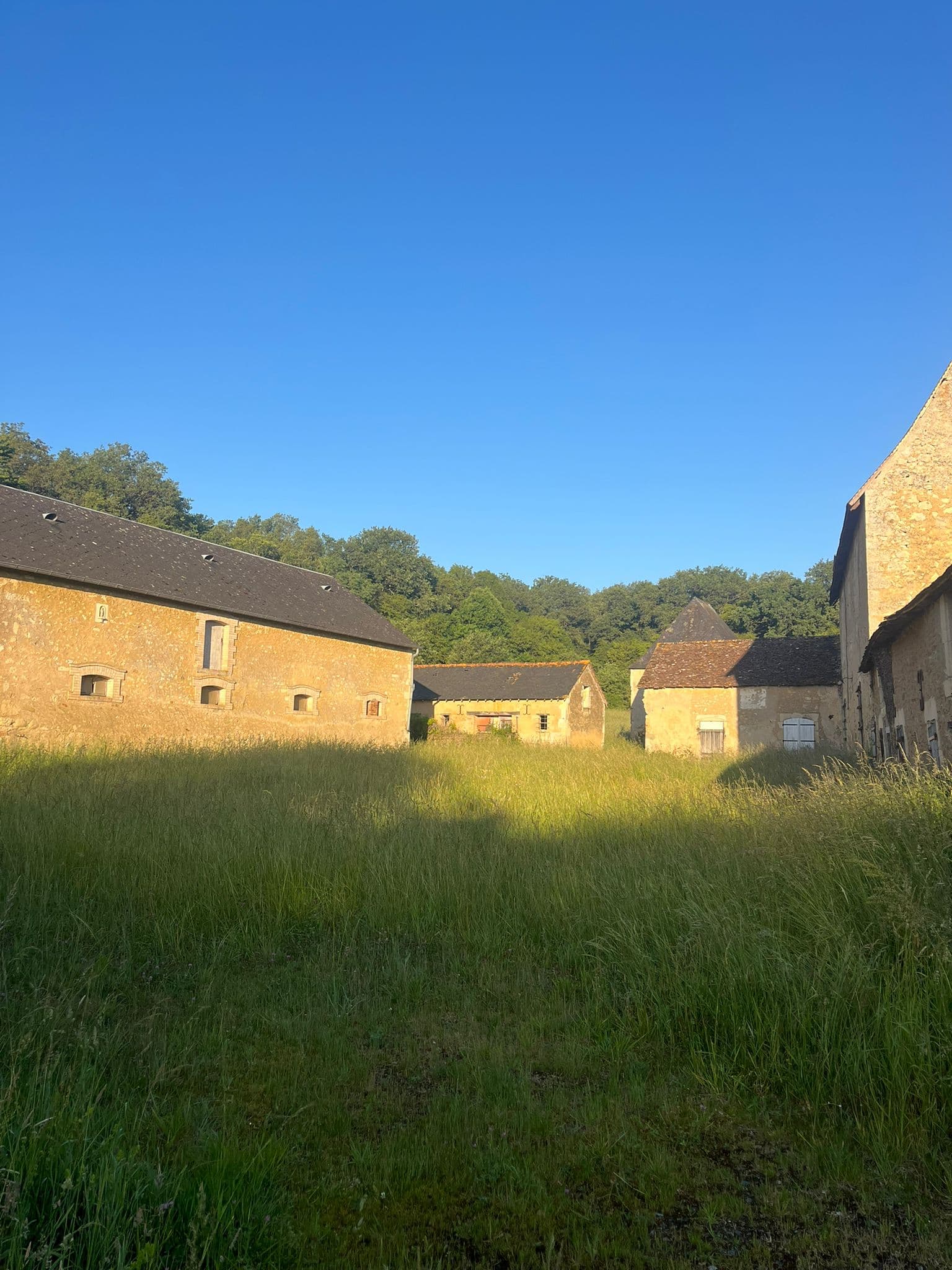 Entretien de jardin — Noyen-sur-Sarthe — paysagiste en Sarthe