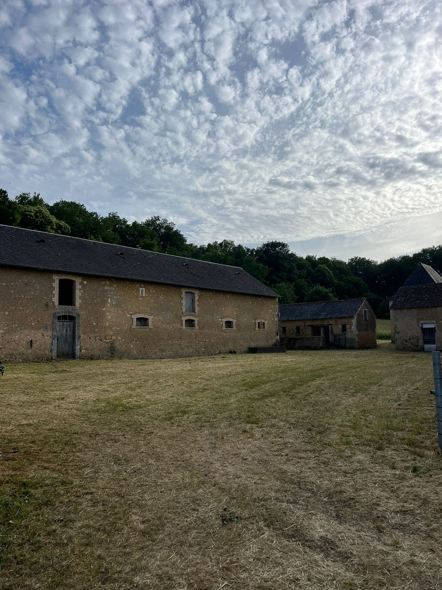 Taille de haie soignée — Noyen-sur-Sarthe — paysagiste en Sarthe