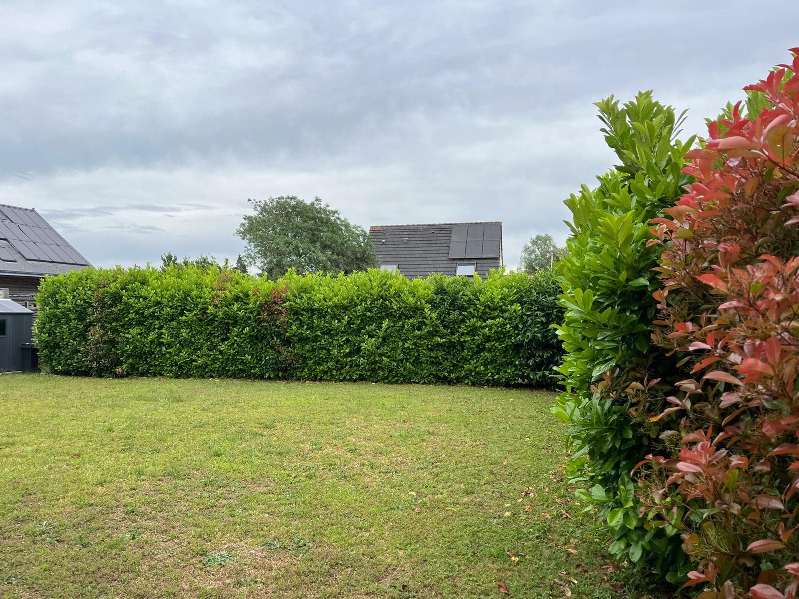 Débroussaillage de terrain — Noyen-sur-Sarthe — paysagiste en Sarthe